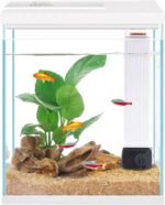 Betta Fish Tank, 2 Gallon Glass Aquarium Starter Kit, Small Fish Tank with Filter and Light. - Image 2