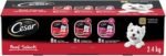 CESAR Classic Loaf in Sauce Adult Wet Dog Food Beef Selects Variety Pack, 24x100g Trays - Image 2