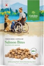 Caledon Farms, Salmon Bites - Freeze Dried, 90 g, Dog Treats - Image 2