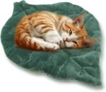 Cat Mat Self Warming Cat Bed 66x50CM Leaf Shaped Cotton Soft Warm Pet Pad Blanket for Indoor Bed Couch Sofa Floors Cat and Dog Warm Mattress (Green) - Image 2