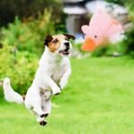 Dog Calming Duck Toy, 2026 New Interactive Plush Duck Toy with Quack Sound and Crazy Crinkle for Dogs Keep Busy, Soft Stuffed Calming Pillow for Puppy Reduce Boredom (Pink, S) - Image 2