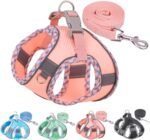 Dog Harness for Small Dogs Leashes Set,Soft No Pull Adjustable Breathable Mesh Leash and Harness Vest Belt for Puppy,Small,Medium Dogs and Cats(XXS-PK) - Image 2