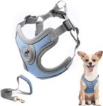 Dog Harness with Leash Set, No Pull Adjustable Step in Dog Collars with Breathable Padded Puppy Harness for Small Medium Training and Running(Blue, XS) - Image 2