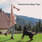 Dog Rope Toys for Aggressive Chewers, Interactive Tug of War Dog Toys for Small Medium Dogs - Image 2