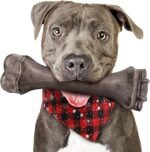 Dog Toys for Aggressive Chewers, Indestructible Dog Bones for Aggressive Chewers, Tough Dog Chew Toy for Heavy Duty Dogs, Big Dog Teething Toys with Durable Nylon for Large/Medium Breed Puppies - Image 2