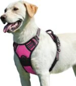 Eagloo Dog Harness No Pull, Walking Pet Harness with 2 Metal Rings and Handle, Adjustable Reflective Breathable Oxford Soft Easy Control Vest for Small Medium Large Dogs, Rose Red, L - Image 2