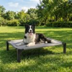 Elevated Dog Cot Bed, Cooling Chew-Resistant Mesh Pet Cot with Sturdy Metal Frame, Portable Washable Indoor Outdoor Dog Bed with Non-Slip Feet, Large 42.1" L x 30.1" W x 8.4" H - Image 2