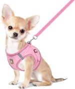 FEimaX Dog Harness and Leash Set, No-Pull Breathable Soft Mesh Puppy Vest Harness Reflective Adjustable Pet Harnesses for Small Medium Large Dogs and Cats - Outdoor Easy Control for Walking - Image 2