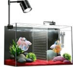 Fish Tank, 3 Gallon Ultra-Clear Glass Fish Aquarium, with Separator Plate for Betta, Fish Tank Starter kit with Filter and Led Light, Black - Image 2