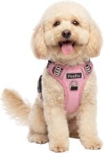 Funfox Dog Harness Small Breed, No Pull Puppy Harness with Vertical Handle, 2 Leash Clips, Reflective Strips Night Walking, Anti Pull Adjustable Pet Vest Size for Small Breed, Pink S - Image 2