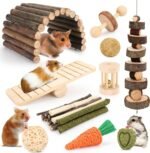 Hamster Cage Accessories, 12 Different Chew Toys for Guinea Pig, Chinchillas, Gerbils, Mice, Rats, Mouse, Rabbit, Bunny Hideout Seesaw, Natural Molar Tools - Image 2