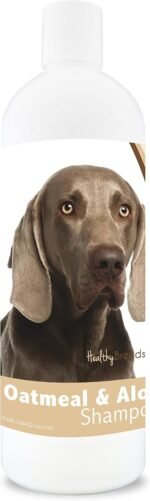 Healthy Breeds Aloe & Oatmeal Dog Shampoo Flea and Tick for Weimaraner - OVER 200 BREEDS - 16 oz - Mild & Gentle for Sensitive Skin - Hypoallergenic Formula & pH Balanced - Image 2
