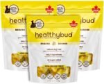 Healthybud Banana Chips Dog Treats – Low-Calorie Crunchy Snack with Coconut Oil – High Fiber & Potassium – Supports Digestion – No Added Sugar or Salt – 3 Pack, 150g Each - Image 2