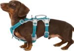 Huntboo Escape Proof Dog Harness, Escape Artist Harness, Fully Reflective Harness with Padded Handle, Breathable, Durable, Adjustable Vest for Small Dogs Walking, Training, and Running Gear (Teal,S) - Image 2