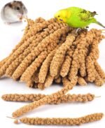 KATUMO 2LB/910g Spray Millet Treats, Natural Sun-Dried Bird Treats for Parakeet Conure Cockatiel Finch Pigeon Hamster Canary (910g) - Image 2