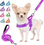 Lukovee Dog Leashes for Small Dogs, Lightweight Soft Small Dog Harness Neck & Chest Adjustable, Reflective Harness Anti-Twis Puppy Harness Vest Harness (XXS, Purple) - Image 2