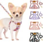 Lukovee Puppy Harness and Leash Set, No Pull Lightweight Pet Harness Vest for Puppy Small and Medium Size Dog, Adjustable Soft Suede Dog Leash Set (Flower-XXS) - Image 2