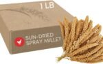 Ma Poule Express Worlds Freshest Sun-Dried Spray Millet GMO and Pesticide Free Original Bird Treat and Supplement for All Pet Birds Parakeets, Cockatiels and Finches 1 Lb - Image 2