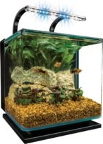 Marineland Contour 3 aquarium Kit 3 Gallons, Rounded Glass Corners, Includes LED Lighting - Image 2