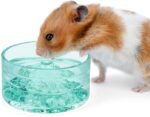 Niteangel Hamster Feeding & Water Bowl: - Mount Fuji Series Glass Drinking Bowls for Dwarf Syrian Hamsters Gerbils Mice Rats or Other Similar-Sized Small Pets (Green, 50 ml) - Image 2