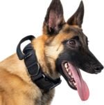 OneTigris Tactical Dog Collars with Handle,Military Dog Collar for Large Dog,Adjustable Nylon Collar German Shepherd Collar with Heavy Duty Metal B (L, Black) - Image 2