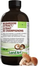 Organic Mushroom Extract – Reishi, Chaga, Shiitake, Maitake, Lion’s Mane – Immune System & Energy Booster - Anti-Inflammatory - 250ml - Vegan - Made in Canada - Image 2