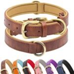 Padded Leather Dog Collar, Soft Breathable Adjustable Waterproof Dog Collar Leather with Durable Metal Buckle for Small Medium and Large Dogs, M, Brown - Image 2