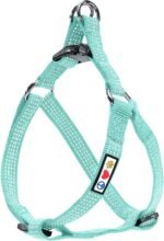 Pawtitas Reflective Step-in Dog Harness – Adjustable No-Pull Vest for Puppies to Seniors, Safe & Comfortable, S Teal - Image 2