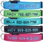 Personalized Dog Collar, Custom Embroidered Pet Name and Phone Number 4 Adjustable Sizes X-Small Small Medium Large Quick Release Buckle and D-Ring - Image 2