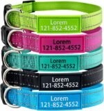 Personalized Dog Collar, Custom ID Collar Reflective Nylon Collar with Pet Name and Phone Number 4 Adjustable Sizes X-Small Small Medium Large Quick Release Buckle and D-Ring (Solid) - Image 2