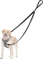 PetBonus Two Point Control Dog Leash, Works with No Pull Harnesses, No Tangle Training Leashes, Soft Padded and Reflective Walking Lead, Converts to Single Lead for Medium Large Dogs (Black) - Image 2