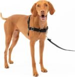 PetSafe Easy Walk Dog Harness, Medium, Black/Silver - Image 2