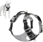 Plutus Pet No Pull Dog Harness, Release at Neck, Reflective Adjustable Dog Vest Harness, Easy Control Handle for Walking, for Small Medium Large Dogs, Black, M - Image 2