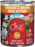 Purina ONE Tender Cuts Wet Dog Food, in Gravy Chicken & Brown Rice Entree 2 Flavours - 368 g Can (12 Pack) - Image 2