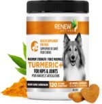 RENEW ACTIVES Organic Turmeric Soft Chews for Dogs – Daily Wellness Treat – 2 Chews per Serving – 120 Soft Chews - Image 2