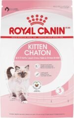 Royal Canin Feline Health Nutrition Dry Kitten Food, Supports Digestive Health, Immune Support and Healthy Energy, 3 lb Bag - Image 2
