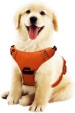 SK Depot® Dog Harness Small Chest 15.7"-27.6" No-Pull Pet Harness with Leash Clips, Adjustable Soft Padded Dog Vest Harness, No Choke Pet Oxford Vest Easy Control Handle for Medium Dogs (S, Orange) - Image 2