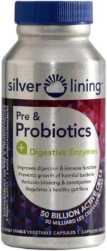 Silver Lining Prebiotics & Probiotics for Women & Men + Digestive Enzymes – Debloat Digestion Supplement for Gut Health, Prebiotic and Probiotic in One for Travel & Immune Support, 120 Capsules - Image 2