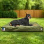 Sytopia 42-Inch Canvas Outdoor Dog Bed, Waterproof & Washable Removable Cover, Ideal for Medium & Large Dogs, Chew-Proof Great for Indoor, Outdoor, Crate, Patio Use (Green) - Image 2