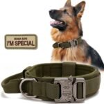 Tactical Dog Collar, Military Nylon Dog Collar Thick with Handle Dog Collars Adjustable Heavy Duty Metal Buckle for Dog Training (Green, M) - Image 2
