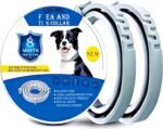 UF-PL 8 Month Dog Collar - Affordable Luxury for All Pet Breeds and Sizes-Adjustable,Safe,Durable & Effective for Dog 25 Inches-Long Lasting,Flexible,Portable & Waterproof Collar for Dogs - Image 2