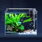 Ultra Clear Small Fish Tank with Filter & Light (3 Gal), Rimless Glass Low Iron Aquarium Starter Kit, Beta Fish Tank & Filter with Surface Skimmer & 3-Mode LED Light - Image 2