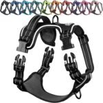 VIVAGLORY Dog Harness Easewalk No Pull Dog Harness with Handle Front Clip & Back Clip for Training Walking Lifting, No Pull Adjustable Easy On Padded Comfortable for Pet, XS, Black - Patterned - Image 2