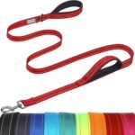 VIVAGLORY Twingrip Dog Leash, Double Handle Dog Leash for Training & Walking with Traffic Handle & 2 Loop, Traffic Control Reflective Heavy Duty for Puppy Pet, 6ft x 1in, Red - Image 2