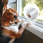 Windowsill Protector, Scratching Window Sill Protector Anti Scratch Furniture Protector Furniture Protectors from Cats Scratching (16ft) - Image 2