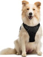 rabbitgoo Dog Harness, No-Pull Pet Harness with 2 Leash Clips, Adjustable Soft Padded Vest, Reflective No-Choke Pet Oxford Vest with Easy Control Handle for Medium Dogs, Black, M - Image 2