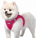 rabbitgoo Dog Harness Small Breed, Step-in Soft Mesh Puppy Vest with Safety Buckle, Breathable Reflective No Pull Pet Harness for Small Sized Dogs, Rose Red S - Image 2