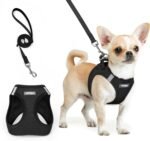 rabbitgoo Dog Harness Small Breed and Leash, Step in Soft Light Puppy Vest, Breathable Mesh No Pull Pet Harness, Reflective for Safe Easy Walking, Black XXS - Image 2