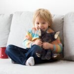 Genérico Plush Cats - Black Cat Doll 30cm, Soft Fluffy Soft Toy, Bed Decor Pillow with Sofa for Living Room Bedroom Home | Cute Gift for Girls - Image 4