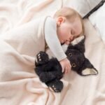 Genérico Plush Cats - Black Cat Doll 30cm, Soft Fluffy Soft Toy, Bed Decor Pillow with Sofa for Living Room Bedroom Home | Cute Gift for Girls - Image 5